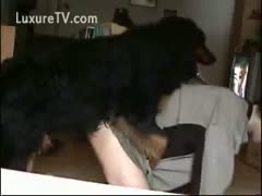 A dark, furry hound snarls at a cunning boy.